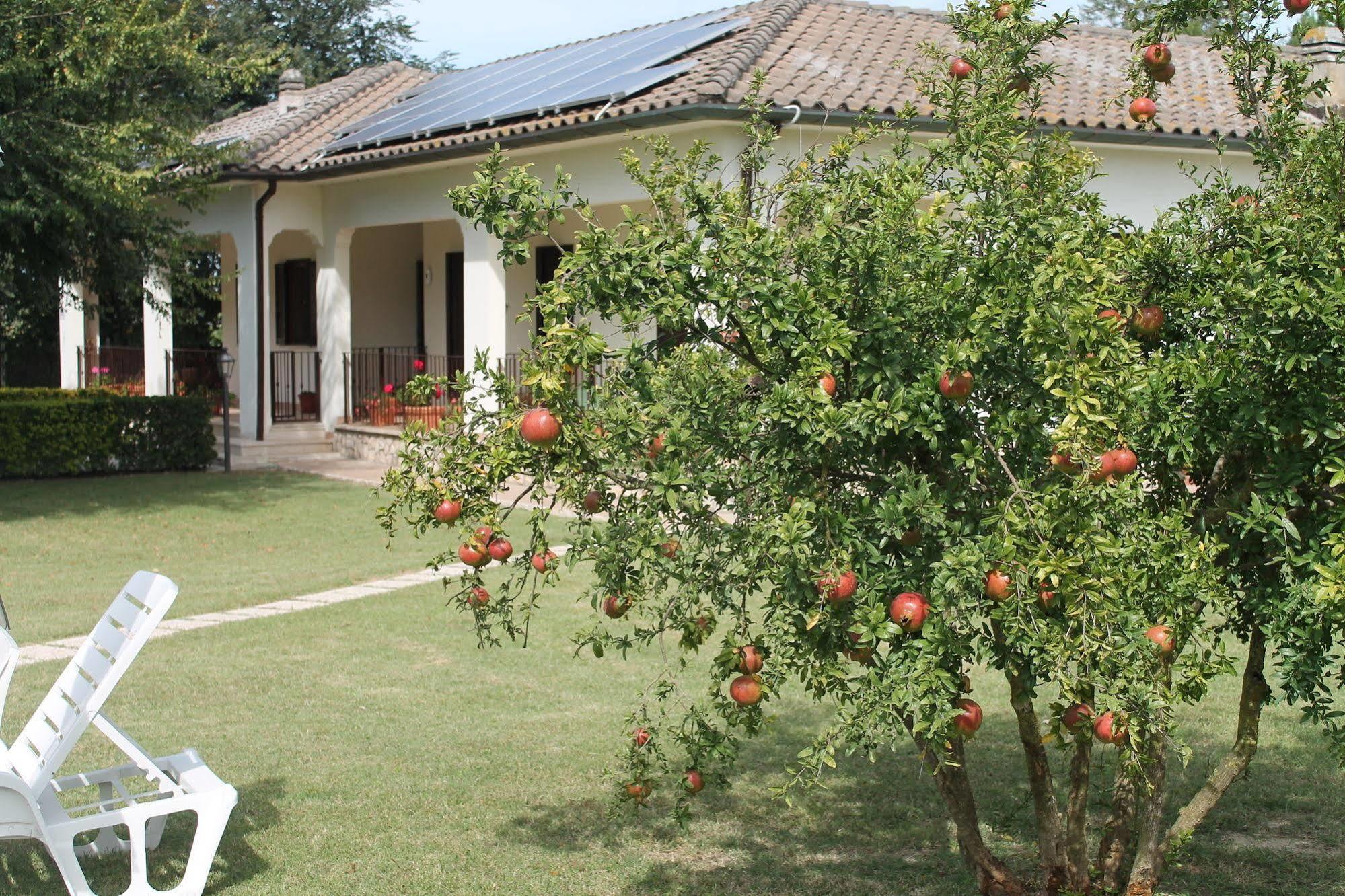 Relais La Mimosa Hotel Pontinia Екстериор снимка